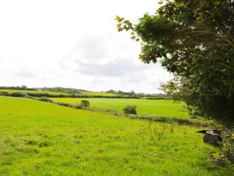 Ty Rhos, Farm Stay, Sleeps 4, Rhoshirwaun 2 Miles From 阿贝达隆 外观 照片